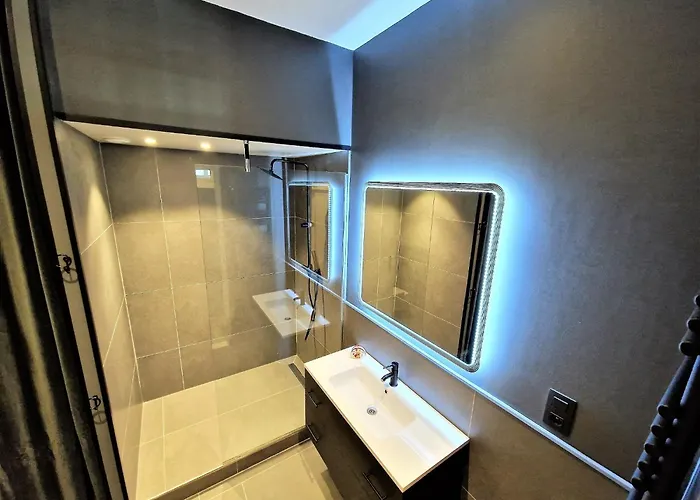 Le Majestic Superbe Centre Appartement